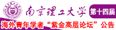 国产操阿姨南京理工大学第十四届海外青年学者紫金论坛诚邀海内外英才！